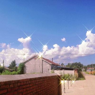 两只小熊猫刚到台湾就火了！有人抢着取名，有人却谈“前提”